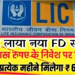 LIC FD Schemes