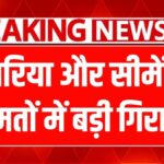 Sariya Cement Rate Today