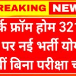 Mukhyamantri Work From Home Yojana 2026