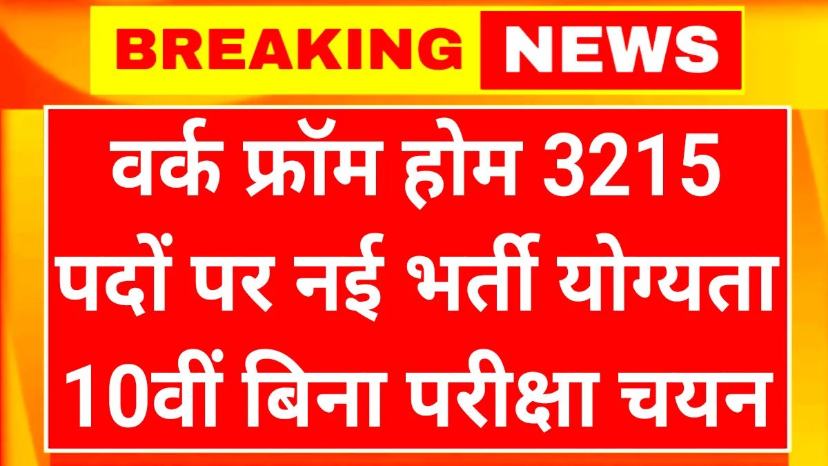 Mukhyamantri Work From Home Yojana 2026